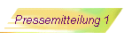 Pressemitteilung 1